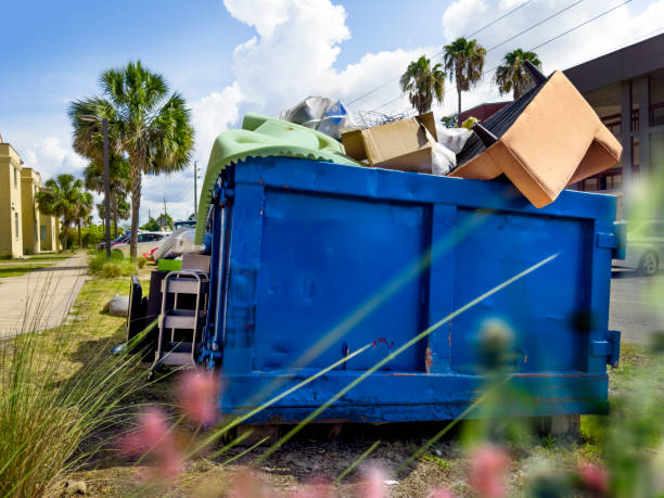 Best Appliance Removal Near Me  in Roma, TX